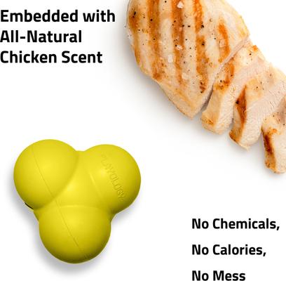 Show full view: Playology Chicken Scented Squeaky Bounce Ball Dog Toy, Jumbo slide 4 of 7