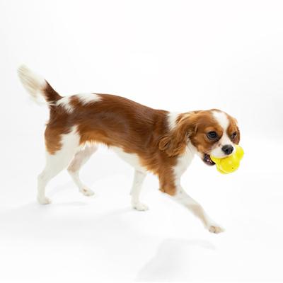 Show full view: Playology Chicken Scented Squeaky Bounce Ball Dog Toy, Jumbo slide 3 of 7