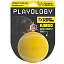 Playology Chicken Scented Squeaky Chew Ball Dog Toy, Jumbo