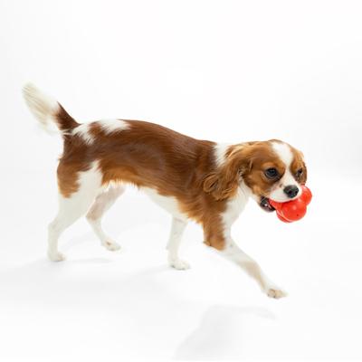 Show full view: Playology Beef Scented Squeaky Bounce Ball Dog Toy, Jumbo slide 3 of 7