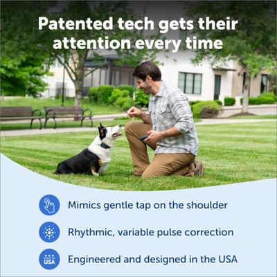 Show full view: PetSafe Pro Trainer Add-A-Dog Collar, Dark Navy, One Size slide 5 of 8