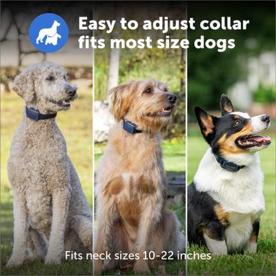 Show full view: PetSafe Pro Trainer Add-A-Dog Collar, Dark Navy, One Size slide 7 of 8