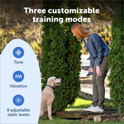 Show full view: PetSafe Basic Dog Remote Trainer, Dark Navy, 10 to 22-in neck, 3/4-in wide slide 4 of 10