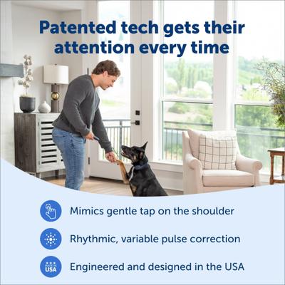 Show full view: PetSafe Basic Dog Remote Trainer, Dark Navy, 10 to 22-in neck, 3/4-in wide slide 3 of 10