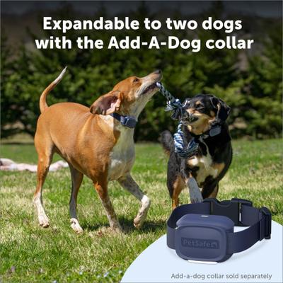 Show full view: PetSafe Core Dog Remote Trainer, Dark Navy, 10 to 22-in neck, 3/4-in wide slide 9 of 11
