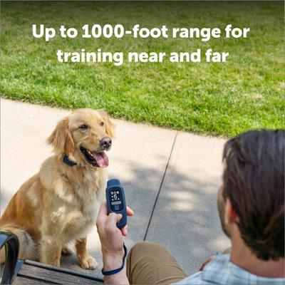 Show full view: PetSafe Core Dog Remote Trainer, Dark Navy, 10 to 22-in neck, 3/4-in wide slide 8 of 11