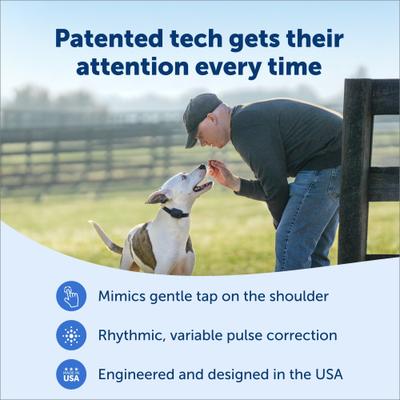 Show full view: PetSafe Core Trainer Add-A-Dog Collar, Dark Navy, One Size slide 5 of 8