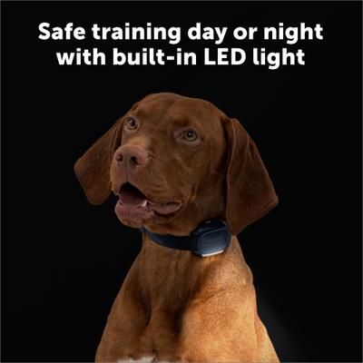 Show full view: PetSafe Core Trainer Add-A-Dog Collar, Dark Navy, One Size slide 3 of 8