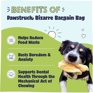 Pawstruck Natural Chew Bizarre Bargain Dog Treats, 1-lb bag