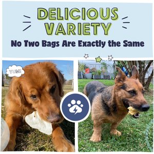 Pawstruck Natural Chew Bizarre Bargain Dog Treats, 1-lb bag
