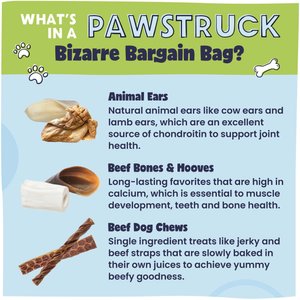 Pawstruck Natural Chew Bizarre Bargain Dog Treats, 1-lb bag