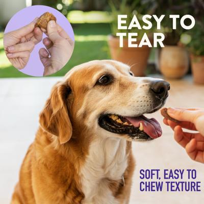 Show full view: Dogswell Mini Soft Strip Senior Duck Flavor Jerky Dog Treats, 10-oz bag slide 7 of 11