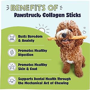 Pawstruck Collagen Stick Dog Treats, Large, 5 count