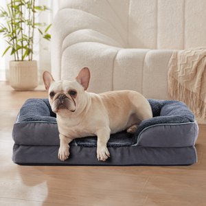 LFC PETS Waterproof Orthopedic Bolster Dog & Cat Sofa Bed with Removable Cover, Dark Grey, Medium