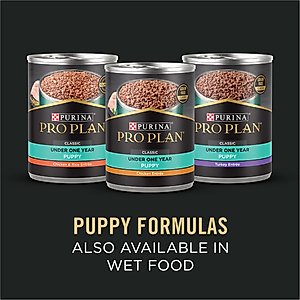 Purina Pro Plan Development Sensitive Skin & Stomach Salmon & Rice Large Breed Dry Puppy Food, 24-lb bag