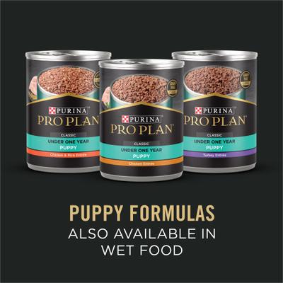 Show full view: Purina Pro Plan Puppy Sensitive Skin & Stomach Salmon & Rice Dry Dog Food, 4-lb bag slide 9 of 12