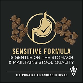 Purina Pro Plan Adult Sensitive Skin & Stomach Salmon & Rice Formula Dry Dog Food, 30-lb bag slide 3 of 9