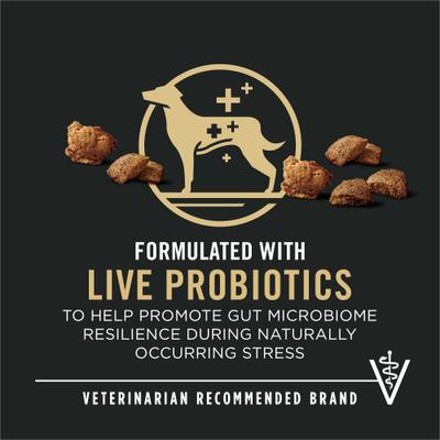 Show full view: Purina Pro Plan Complete Essentials Adult Shredded Blend Lamb & Rice High Protein Formula with Probiotics Dry Dog Food, 5-lb bag slide 4 of 12