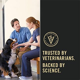 Purina Pro Plan Adult Sensitive Skin & Stomach Salmon & Rice Formula Dry Dog Food, 30-lb bag slide 7 of 9