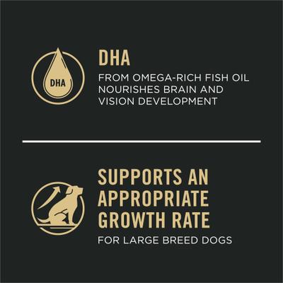 Show full view: Purina Pro Plan Development Sensitive Skin & Stomach Salmon & Rice Large Breed Dry Puppy Food, 24-lb bag slide 6 of 13