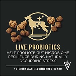 Purina Pro Plan Adult 7+ Shredded Blend Chicken & Rice Formula Dry Dog Food, 34-lb bag slide 2 of 9