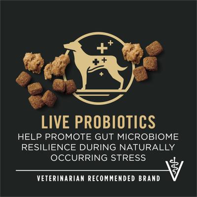 Show full view: Purina Pro Plan Complete Essentials Adult 7+ Shredded Blend Chicken & Rice High Protein Formula with Probiotics Dry Dog Food, 6-lb bag slide 4 of 12