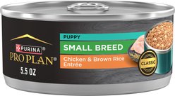 Purina Pro Plan Puppy Small Breed High-Protein Chicken & Brown Rice Entree Wet Dog Food, 5.5-oz can, case of 24