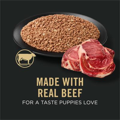 Show full view: Purina Pro Plan Sport Development Puppy High Protein Beef & Rice Wet Dog Food, 13-oz can, case of 12 slide 5 of 12