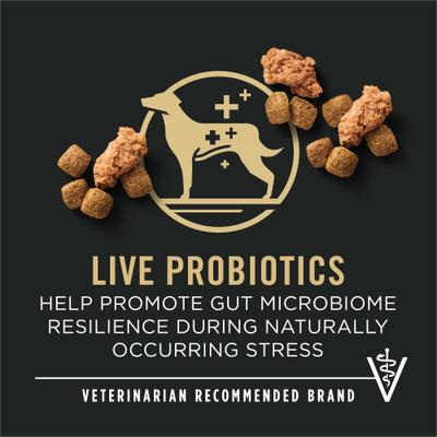 Show full view: Purina Pro Plan Complete Essentials Adult 7+ Shredded Blend Beef & Rice High Protein Formula with Probiotics Dog Food, 18-lb bag slide 4 of 13