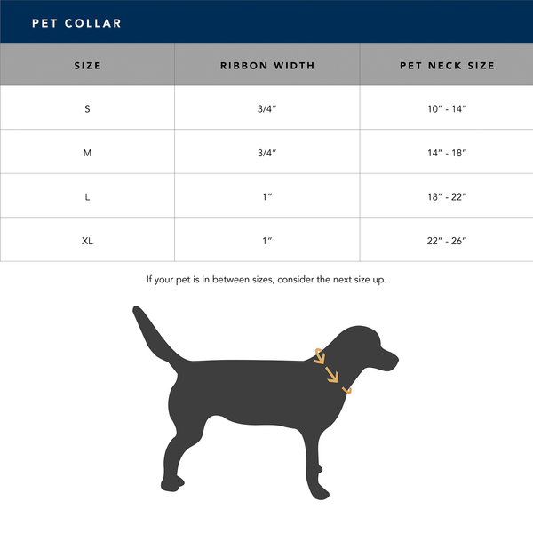 Carolina Pet Checkered Wave Dog Collar