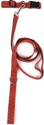 Show full view: Carolina Pet Checkered Wave Dog Leash, Wavy Red, 6-ft long, 1-in wide slide 4 of 7