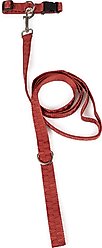 Carolina Pet Checkered Wave Dog Collar, Wavy Red, Medium: 14 to 18-in neck, 3/4-in wide slide 2 of 8