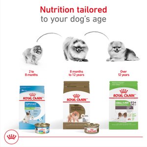 Royal Canin Breed Health Nutrition Pomeranian Adult Dry Dog Food, 2.5-lb bag