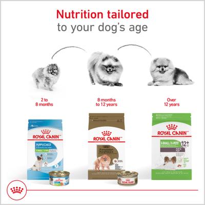 Show full view: Royal Canin Breed Health Nutrition Pomeranian Adult Dry Dog Food, 2.5-lb bag slide 5 of 13