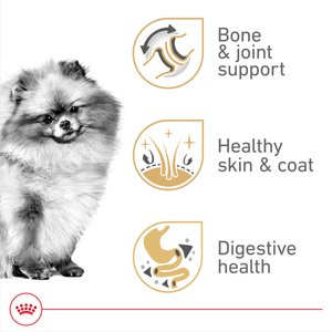 Royal Canin Breed Health Nutrition Pomeranian Adult Dry Dog Food, 2.5-lb bag