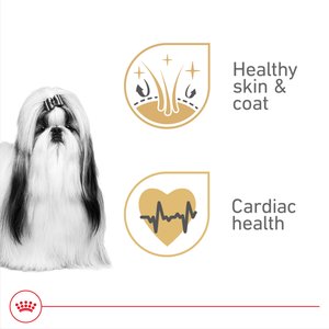 Royal Canin Breed Health Nutrition Shih Tzu Adult Loaf In Sauce Canned Dog Food, 3-oz, case of 24