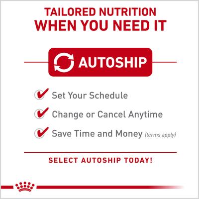 Show full view: Royal Canin Maine Coon Adult Thin Slices in Gravy Wet Cat Food, 3-oz can, case of 24 slide 10 of 13