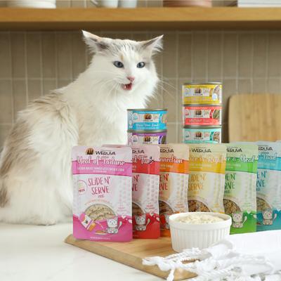 Show full view: Weruva Classic Press Your Dinner Chicken Pate Grain-Free Wet Cat Food, 10.0-oz can, case of 12 slide 8 of 13