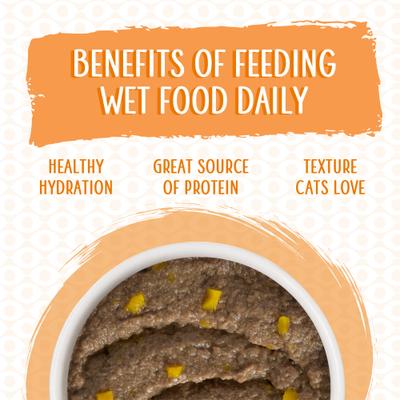 Show full view: Weruva Classic Cat Who Wants To Be A Meowionaire Chicken & Pumpkin Pate Canned Cat Food, 3-oz can, case of 12 slide 6 of 13