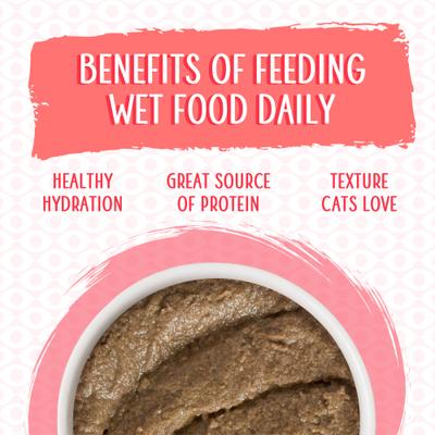 Show full view: Weruva Classic Cat Jolly Good Fares Chicken & Salmon Pate Canned Cat Food, 3-oz can, case of 12 slide 6 of 13