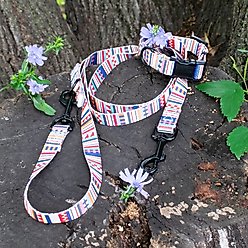 Pendleton Adventure Dog Collar, Tamiami, Medium: 13 to 16-in neck, 3/4-in wide slide 2 of 4