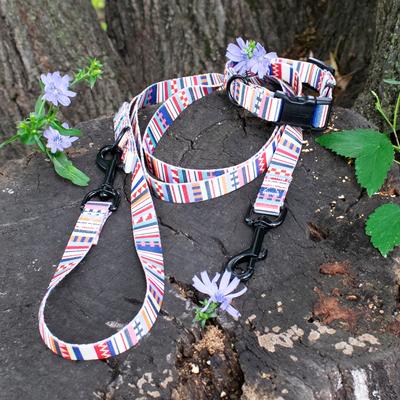 Show full view: Pendleton Adventure Dog Collar, Tamiami, Medium: 13 to 16-in neck, 3/4-in wide slide 3 of 5