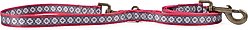 Pendleton Adventure Dog Leash, San Miguel, 6-ft long, 3/4-in wide
