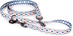 Pendleton Adventure Dog Leash, Falcon Cove, 6-ft long, 3/4-in wide
