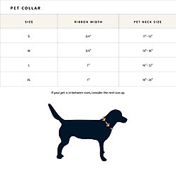 Pendleton Adventure Dog Collar, Westerly, Small: 11 to 13-in neck, 3/4-in wide slide 2 of 7
