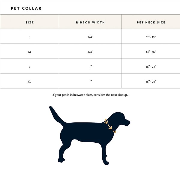 Pendleton Adventure Dog Collar