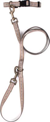 Show full view: Pendleton Adventure Dog Leash, Westerly, 6-ft long, 3/4-in wide slide 5 of 7