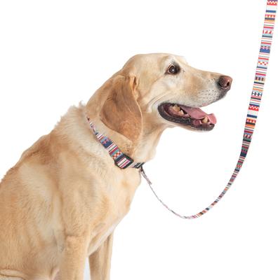 Show full view: Pendleton Adventure Dog Collar, Tamiami, X-Large: 20 to 26-in neck, 1-in wide slide 4 of 7