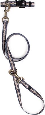 Show full view: Pendleton Adventure Dog Collar, Harding, Medium: 13 to 16-in neck, 3/4-in wide slide 4 of 8