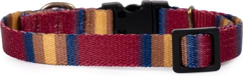 Show full view: Pendleton National Park Adventure Dog Collar, Zion, X-Small: 8 to 12-in neck, 1/2-in wide slide 2 of 6